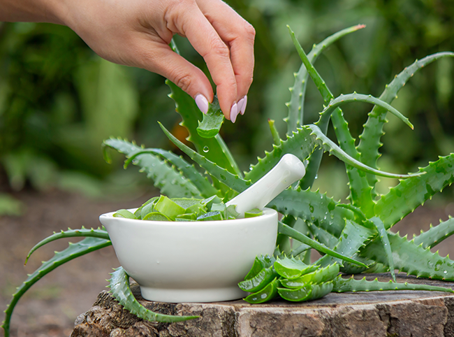Ingrédients d’origine naturelle